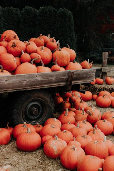 Pumpkins, photo from Unsplash