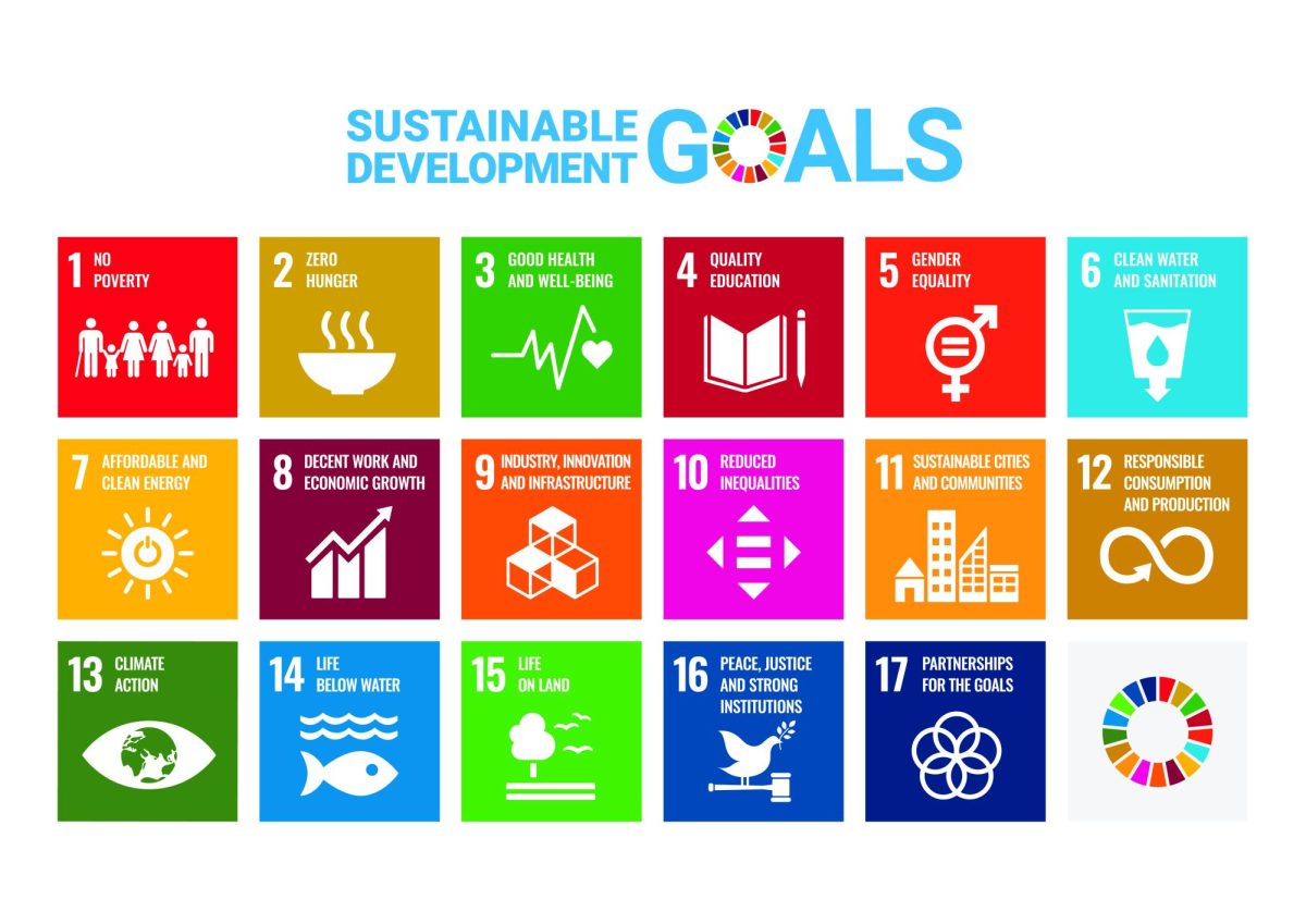 Sustainability goals, graphic from the UN