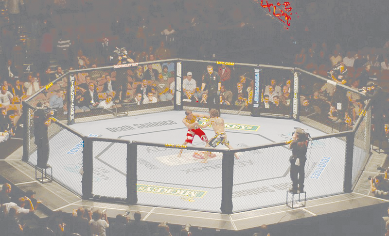 The octagon from UFC 74 when Clay Guida fought against Marcus Aurelio. UFC 74 Respect Bout by Lee Brimelow is licensed under CC BY 2.0 DEED.