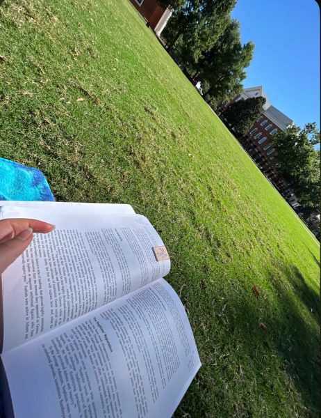Reading on the lawn, taken
by Holly Haydon