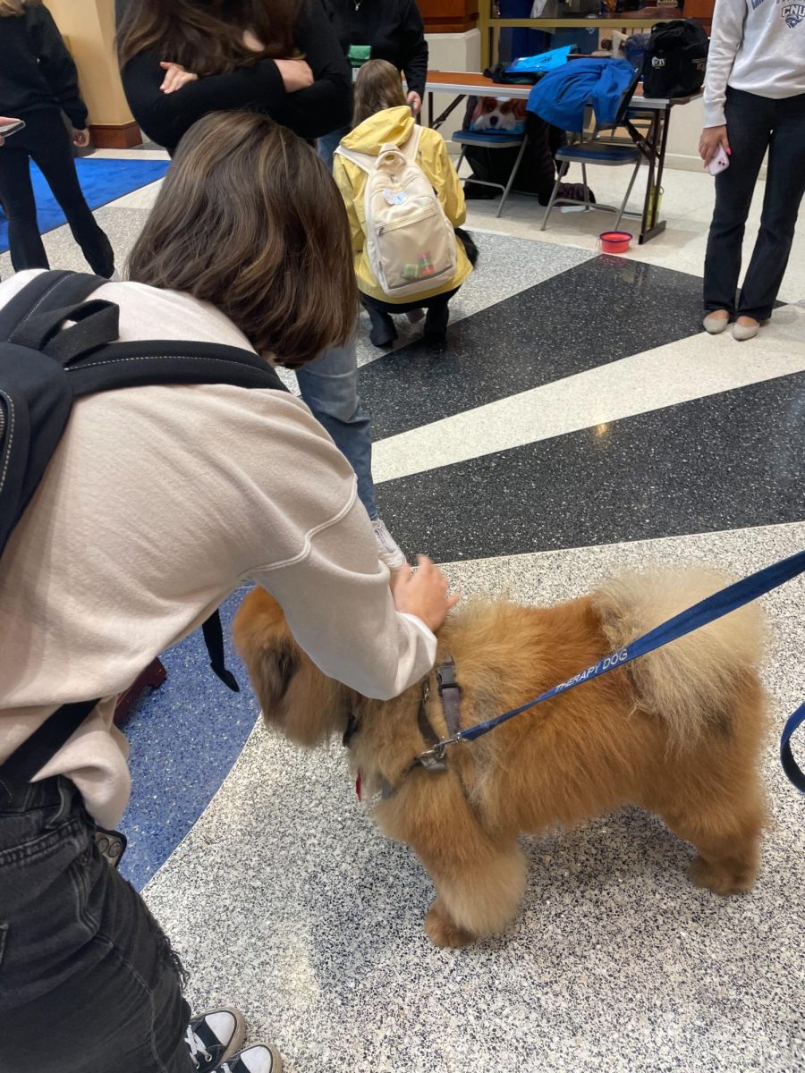 CNU student petting a therapy dog in the DSU during the Social Work Association’s “Yappy Hour”