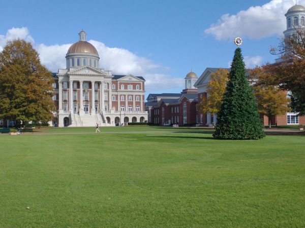 Christopher Newport Hall and the Christmas tree on The Great Lawn, photo by Evelyn Davidson