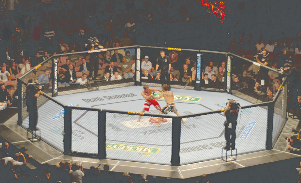 Clay Guida fighting
Marcus Aurelio at UFC
74. UFC 74 Respect
Bout by Lee Brimelow
is licensed under the
CC By 2.0 Deed.