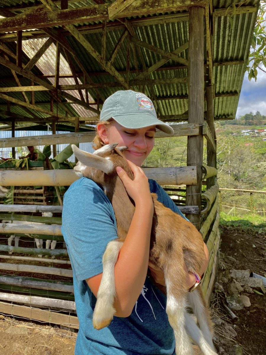 Megan Munford holding a goat in Costa Rica, courtesy of Megan Munford