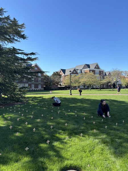 Students for Life (SFL) place crosses over York Lawn by Chloe Grell