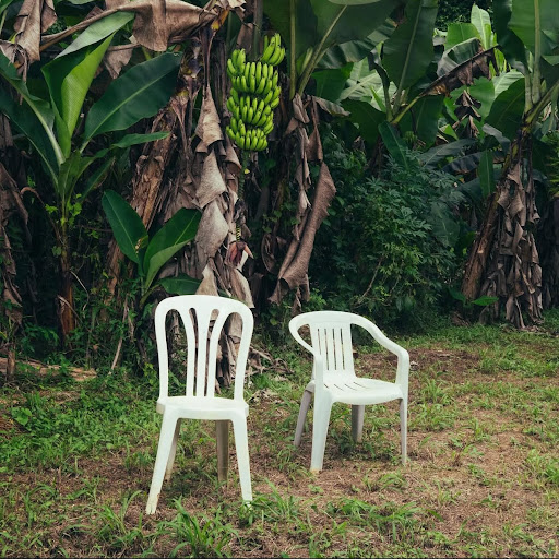 DeBÍ TiRAR MáS FOToS album cover. Photo from @badbunnypr on
Instagram