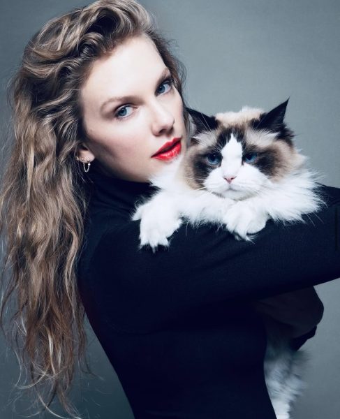 Taylor Swift poses with her cat Benji, photo taken from @Taylorswift on Instagram