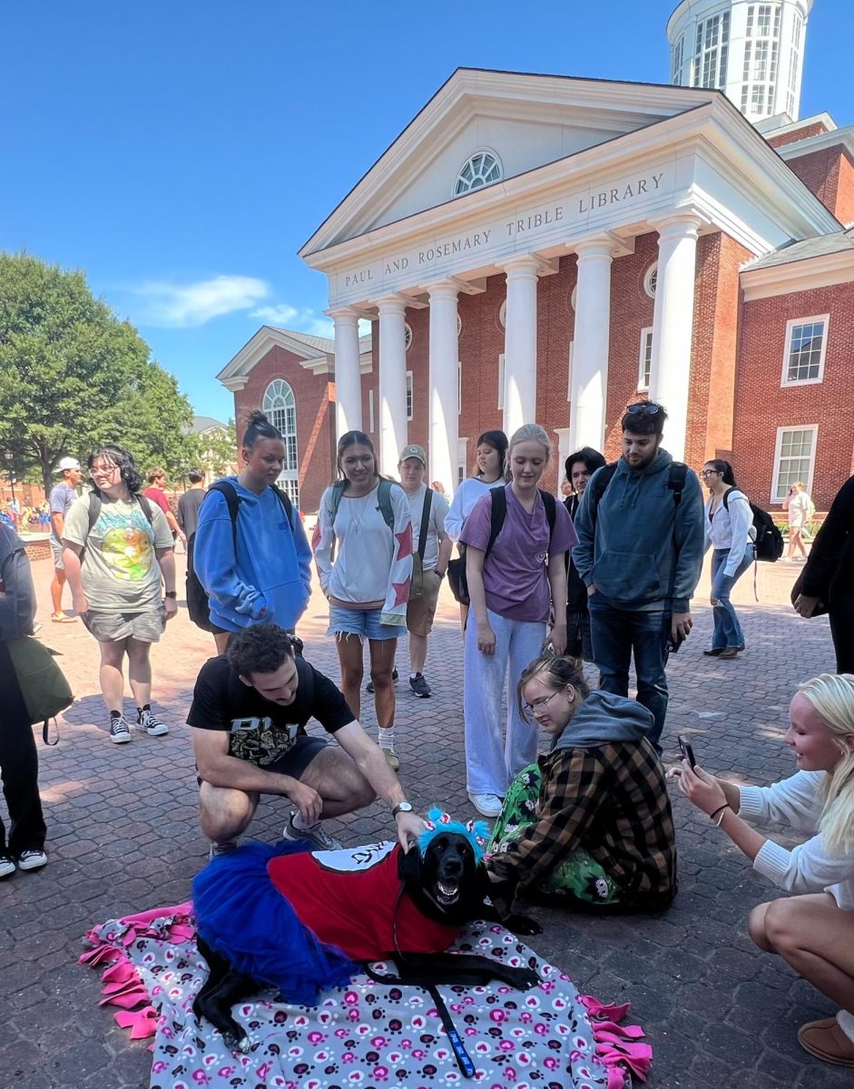 Therapy dog, Mango, dressed as Thing 2
surrounded by a group of CNU students