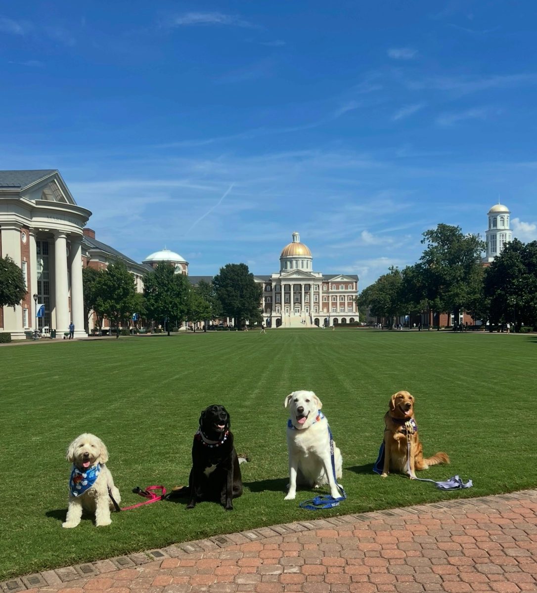 Therapy dogs, Stella, Mango, Odin and Journey pose on the Great
Lawn before their event, hosted by the English Department, taken
by Karen Chantal